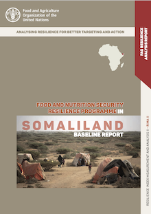 Food and nutrition security resilience programme in Somaliland: Baseline report